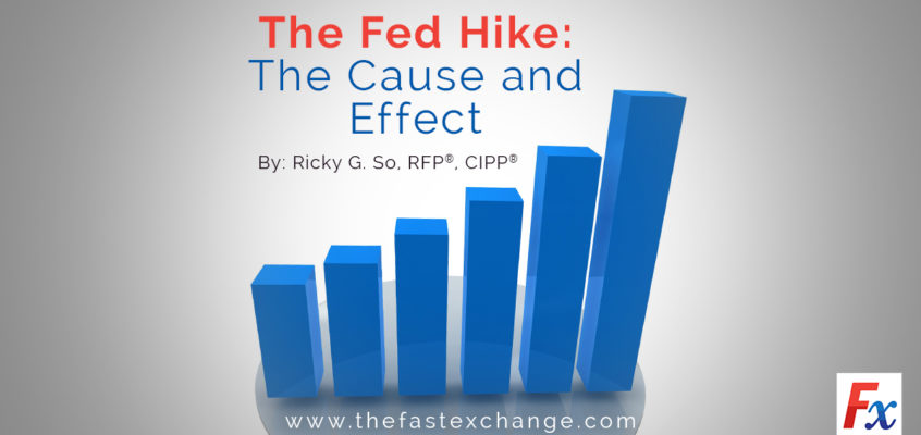 The Fed Hike: The Cause and Effect